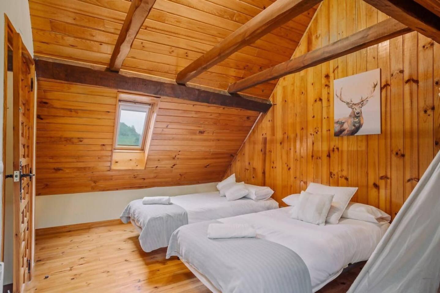 Casa Rural Arix Sallent de Gállego Exteriér fotografie